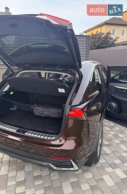 Внедорожник / Кроссовер Lexus NX 2019 в 