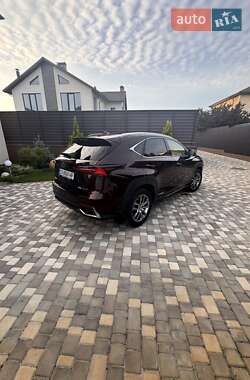 Внедорожник / Кроссовер Lexus NX 2019 в 