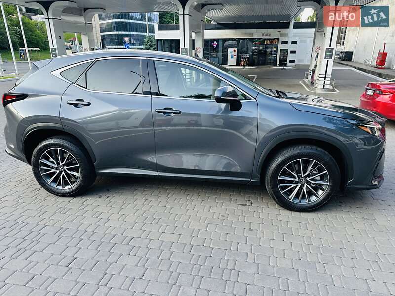 Позашляховик / Кросовер Lexus NX 2024 в Києві