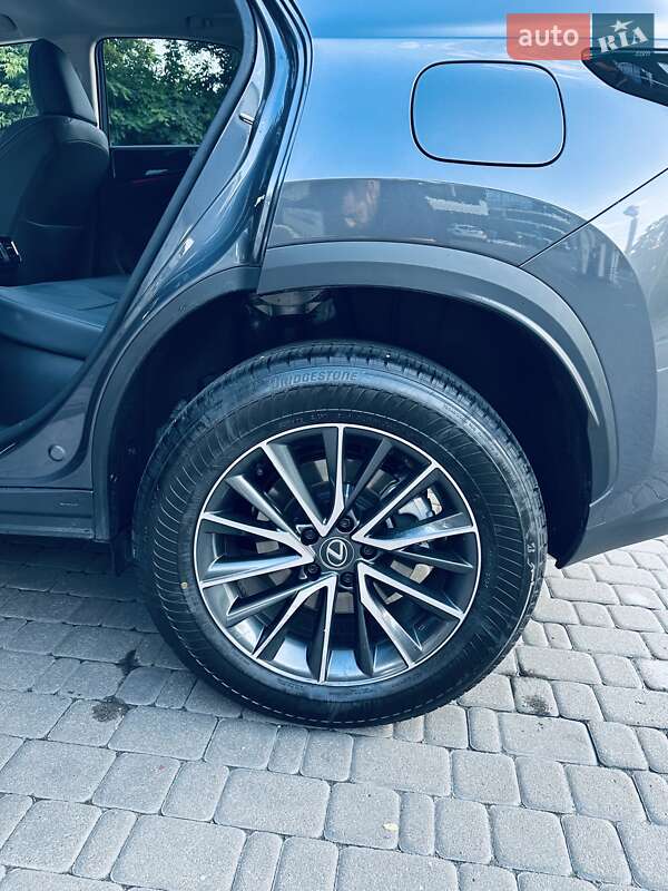 Позашляховик / Кросовер Lexus NX 2024 в Києві