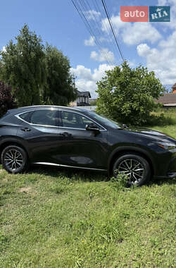 Внедорожник / Кроссовер Lexus NX 2022 в 