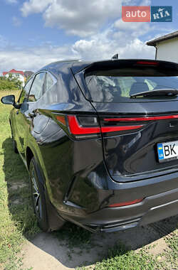 Внедорожник / Кроссовер Lexus NX 2022 в 