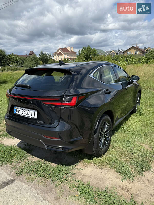 Внедорожник / Кроссовер Lexus NX 2022 в Киеве