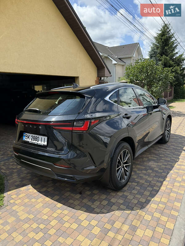 Внедорожник / Кроссовер Lexus NX 2022 в Киеве