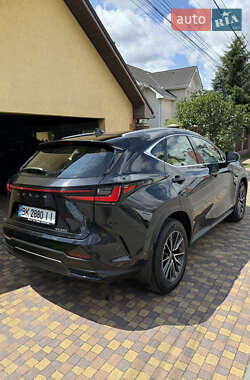 Внедорожник / Кроссовер Lexus NX 2022 в 