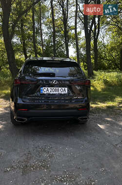 Внедорожник / Кроссовер Lexus NX 2021 в 