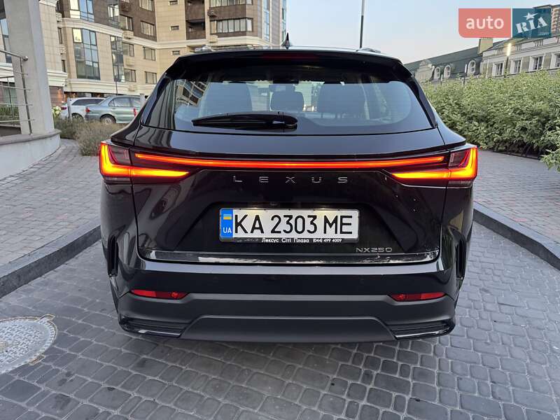 Внедорожник / Кроссовер Lexus NX 2022 в Киеве фото 27 Внедорожник / Кроссовер Lexus NX 2022 в Киеве