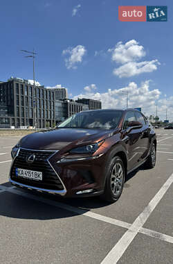 Внедорожник / Кроссовер Lexus NX 2020 в 