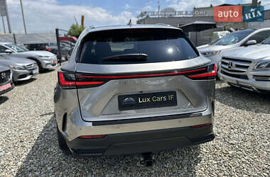 Внедорожник / Кроссовер Lexus NX 2024 в 