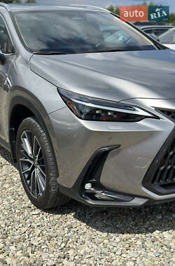 Внедорожник / Кроссовер Lexus NX 2024 в 
