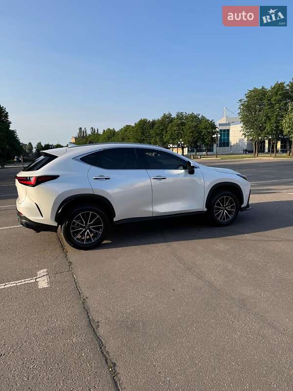 Внедорожник / Кроссовер Lexus NX 2024 в Кривом Роге