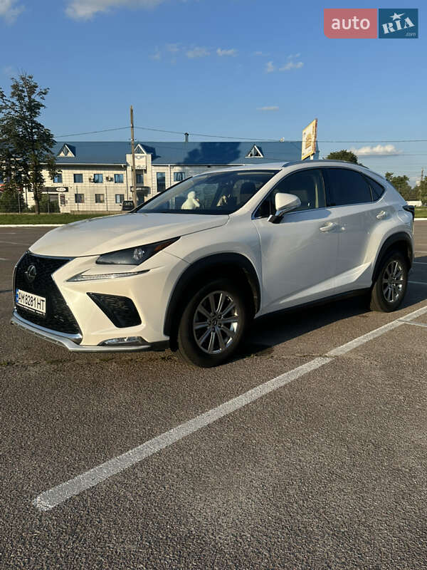 Внедорожник / Кроссовер Lexus NX 2021 в Житомире фото 8 Внедорожник / Кроссовер Lexus NX 2021 в Житомире