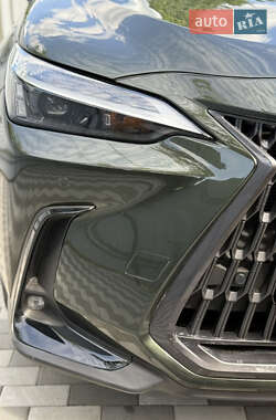 Внедорожник / Кроссовер Lexus NX 2023 в 