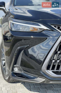 Внедорожник / Кроссовер Lexus NX 2022 в 