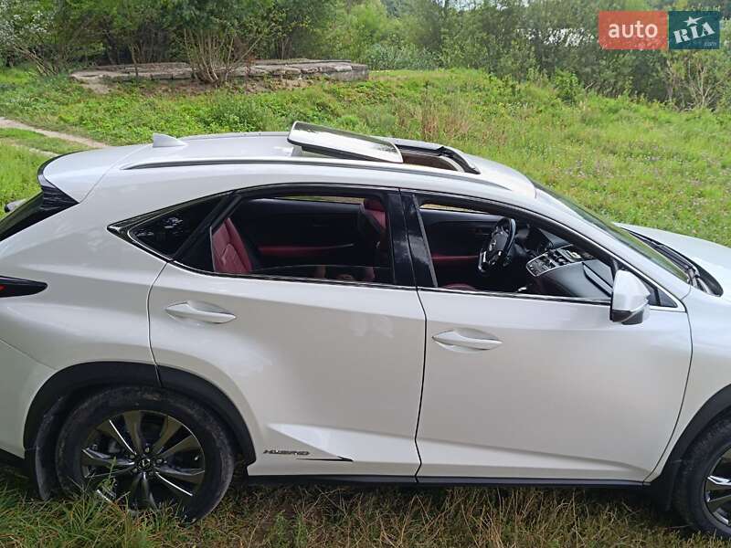 Внедорожник / Кроссовер Lexus NX 2019 в Виннице фото 27 Внедорожник / Кроссовер Lexus NX 2019 в Виннице