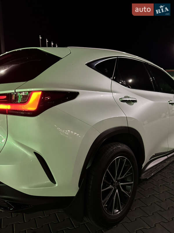Внедорожник / Кроссовер Lexus NX 2021 в Киеве фото 9 Внедорожник / Кроссовер Lexus NX 2021 в Киеве