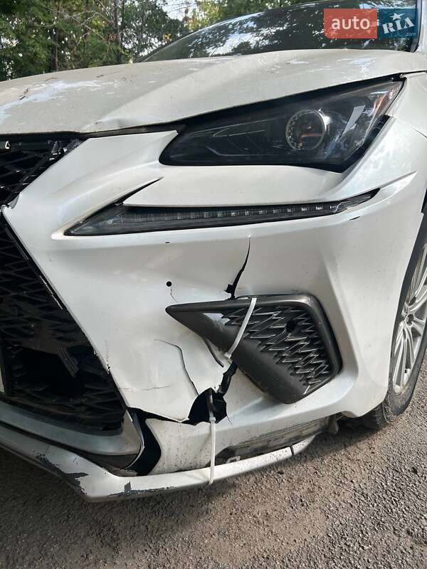 Lexus NX 2019