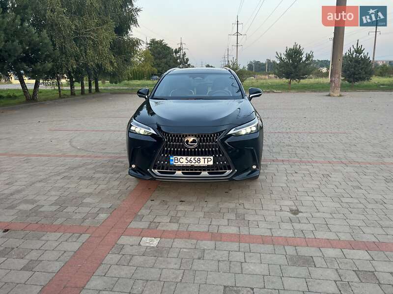 Внедорожник / Кроссовер Lexus NX 2022 в Солонке фото 3 Внедорожник / Кроссовер Lexus NX 2022 в Солонке