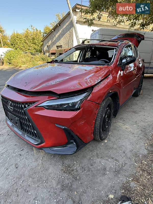 Внедорожник / Кроссовер Lexus NX 2024 в Киеве