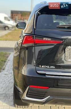 Позашляховик / Кросовер Lexus NX 2021 в 