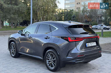 Внедорожник / Кроссовер Lexus NX 2022 в 