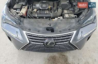 Внедорожник / Кроссовер Lexus NX 2021 в 