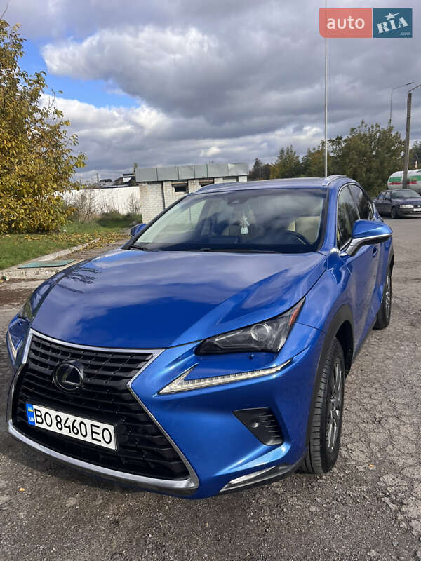 Позашляховик / Кросовер Lexus NX 2018 в Теребовлі фото 10 Позашляховик / Кросовер Lexus NX 2018 в Теребовлі
