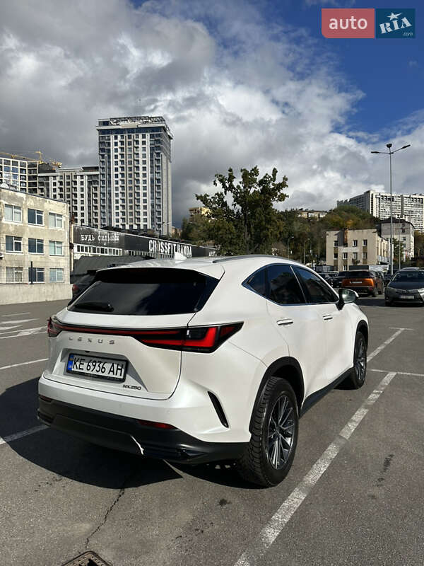 Позашляховик / Кросовер Lexus NX 2022 в Києві фото 6 Позашляховик / Кросовер Lexus NX 2022 в Києві
