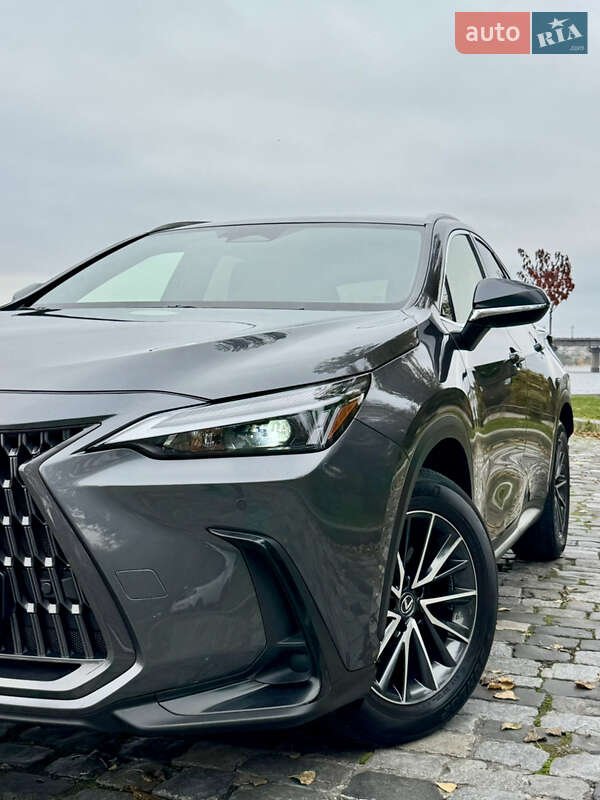Позашляховик / Кросовер Lexus NX 2022 в Києві фото 106 Позашляховик / Кросовер Lexus NX 2022 в Києві