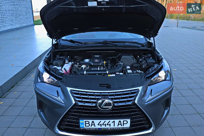 Позашляховик / Кросовер Lexus NX 2020 в Кременчуці фото 44 Позашляховик / Кросовер Lexus NX 2020 в Кременчуці
