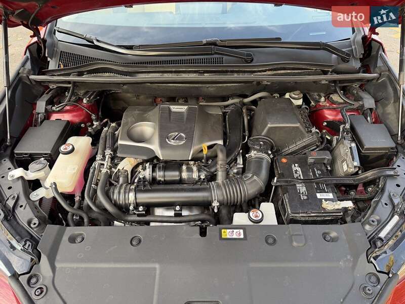 Позашляховик / Кросовер Lexus NX 2020 в Києві