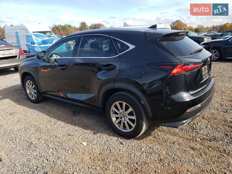 Внедорожник / Кроссовер Lexus NX 2020 в Киеве фото 2 Внедорожник / Кроссовер Lexus NX 2020 в Киеве