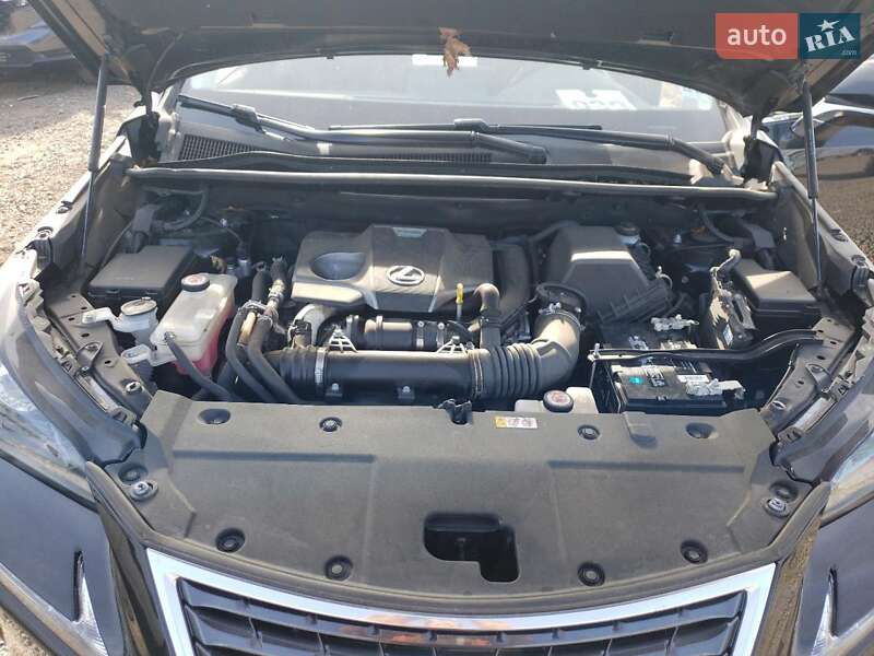 Внедорожник / Кроссовер Lexus NX 2020 в Киеве фото 11 Внедорожник / Кроссовер Lexus NX 2020 в Киеве