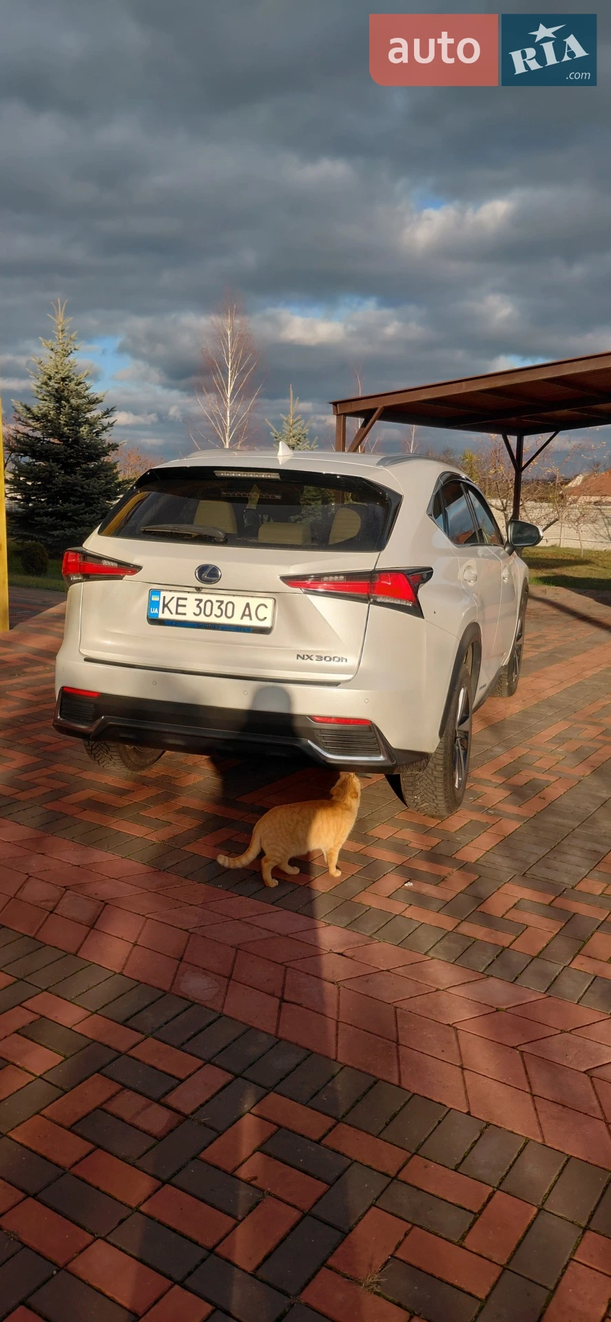 2021 Lexus NX - мініатюра 11