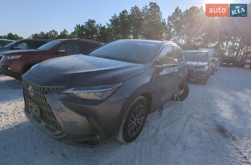 Позашляховик / Кросовер Lexus NX 2022 в Ізмаїлі