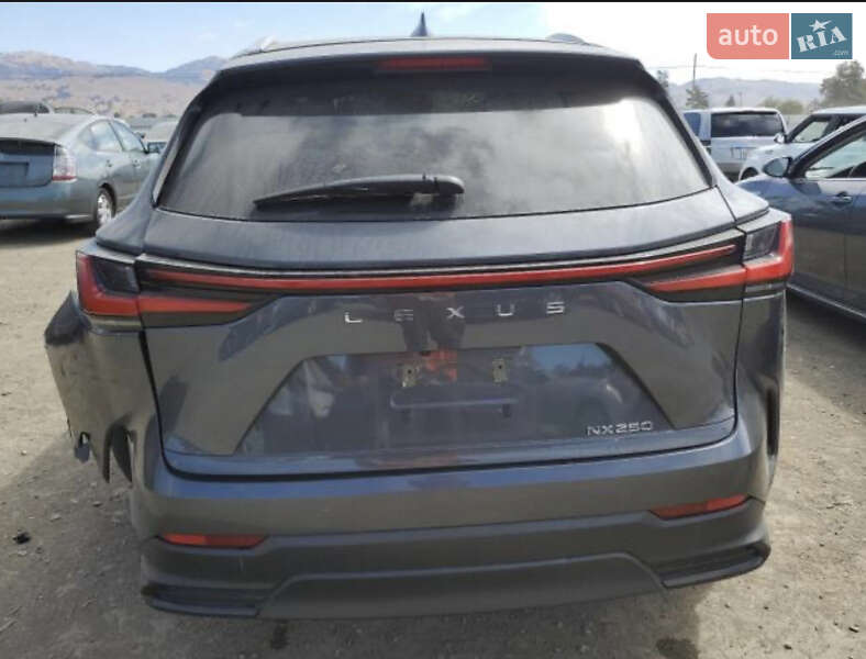 Позашляховик / Кросовер Lexus NX 2022 в Ізмаїлі