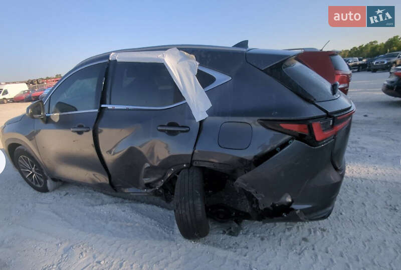 Позашляховик / Кросовер Lexus NX 2022 в Ізмаїлі