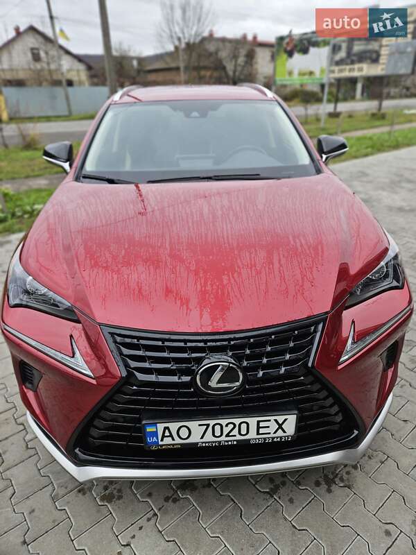 Позашляховик / Кросовер Lexus NX 2020 в Ужгороді