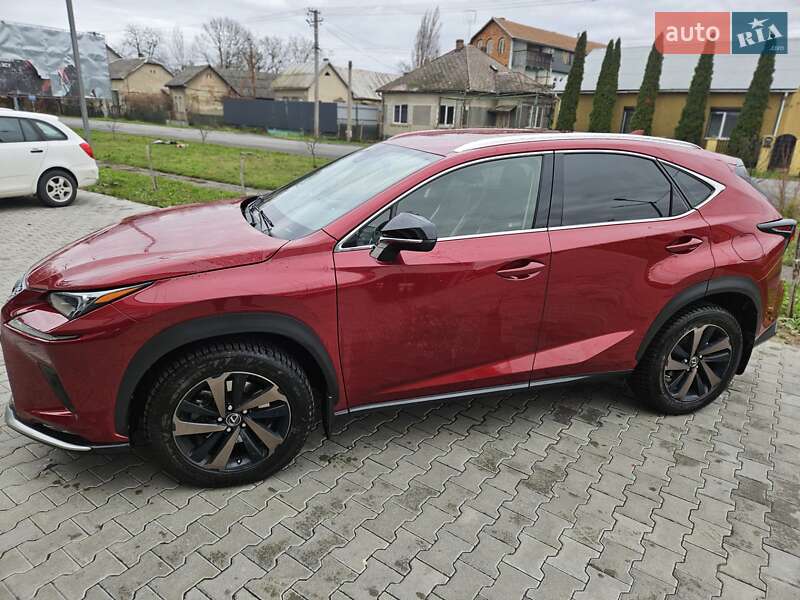 Позашляховик / Кросовер Lexus NX 2020 в Ужгороді