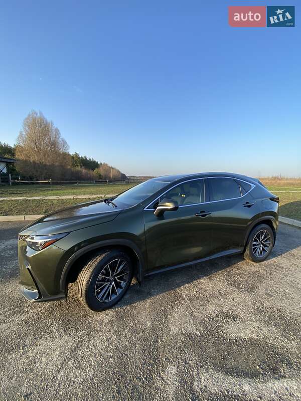 Lexus NX 2022