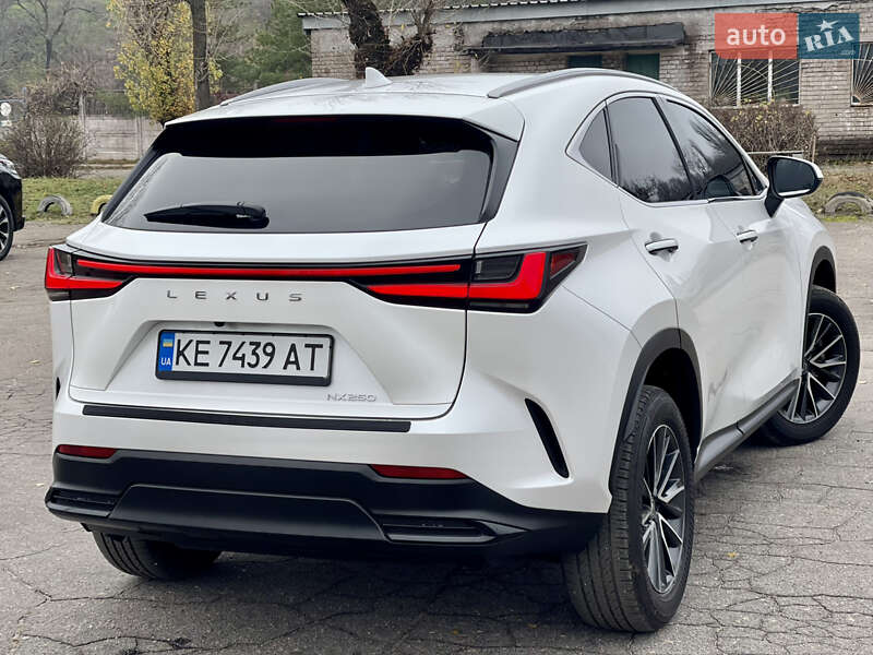 Внедорожник / Кроссовер Lexus NX 2024 в Каменском