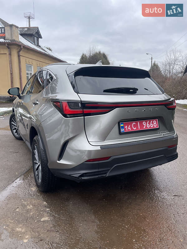 Внедорожник / Кроссовер Lexus NX 2023 в Самборе фото 7 Внедорожник / Кроссовер Lexus NX 2023 в Самборе