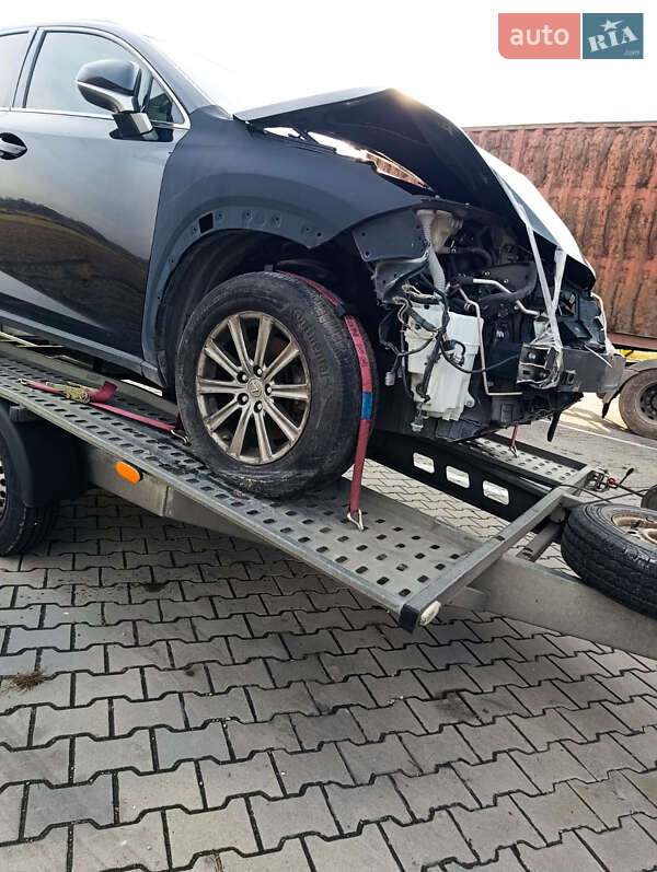 Внедорожник / Кроссовер Lexus NX 2016 в Киеве фото Внедорожник / Кроссовер Lexus NX 2016 в Киеве