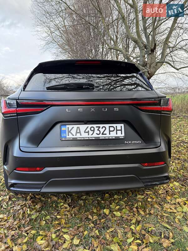 Внедорожник / Кроссовер Lexus NX 2022 в Белой Церкви