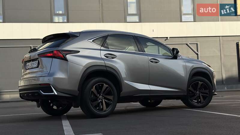 Внедорожник / Кроссовер Lexus NX 2021 в Киеве фото 19 Внедорожник / Кроссовер Lexus NX 2021 в Киеве
