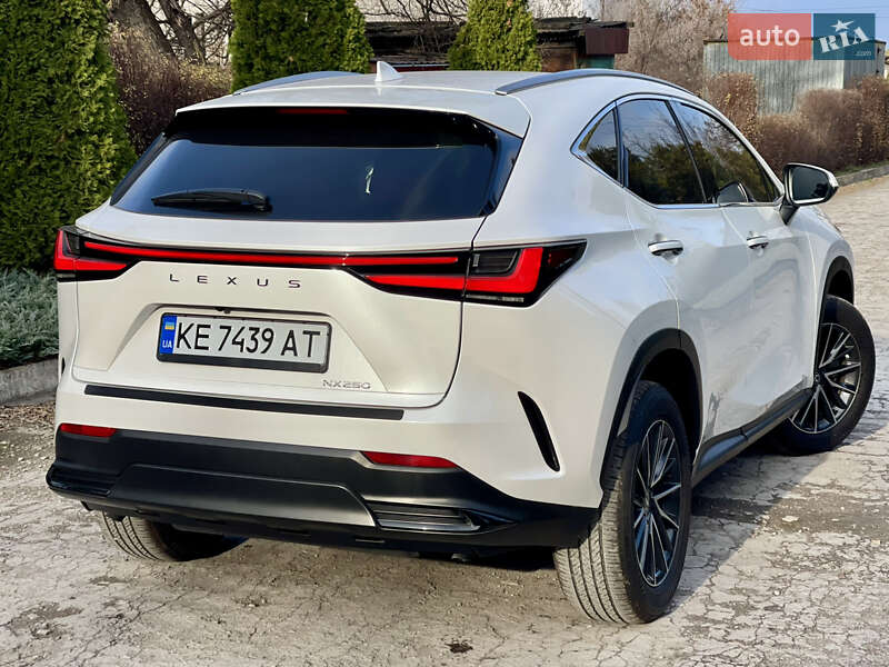 Внедорожник / Кроссовер Lexus NX 2024 в Каменском фото 6 Внедорожник / Кроссовер Lexus NX 2024 в Каменском