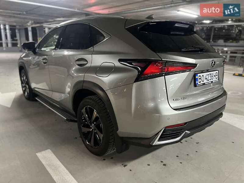 Внедорожник / Кроссовер Lexus NX 2020 в Киеве фото 15 Внедорожник / Кроссовер Lexus NX 2020 в Киеве