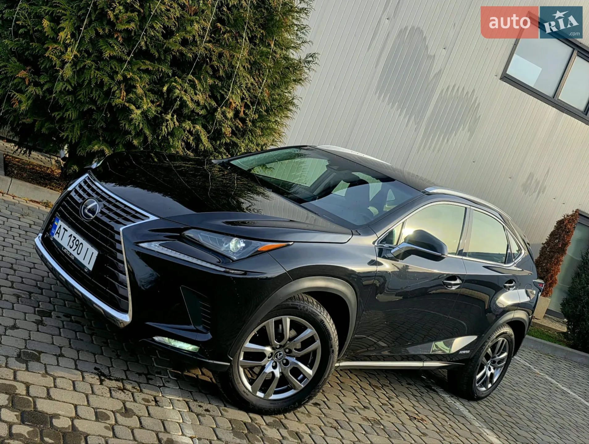 2018 Lexus NX - мініатюра 6