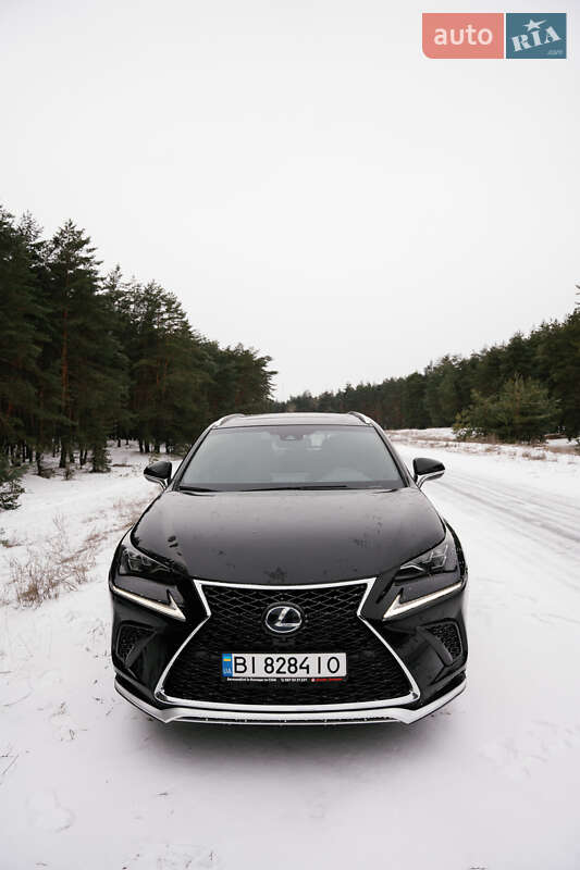 Позашляховик / Кросовер Lexus NX 2020 в Кременчуці фото 5 Позашляховик / Кросовер Lexus NX 2020 в Кременчуці