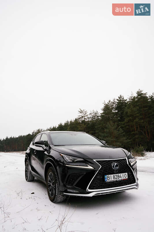 Позашляховик / Кросовер Lexus NX 2020 в Кременчуці фото 6 Позашляховик / Кросовер Lexus NX 2020 в Кременчуці